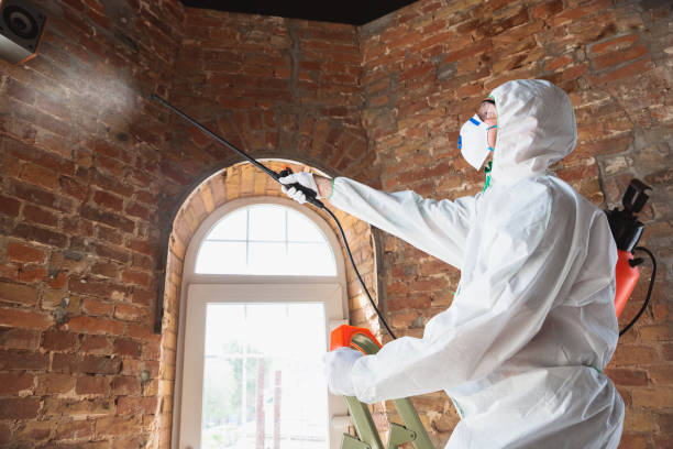 Why You Should Choose Our Mold Remediation Services in Erma, NJ